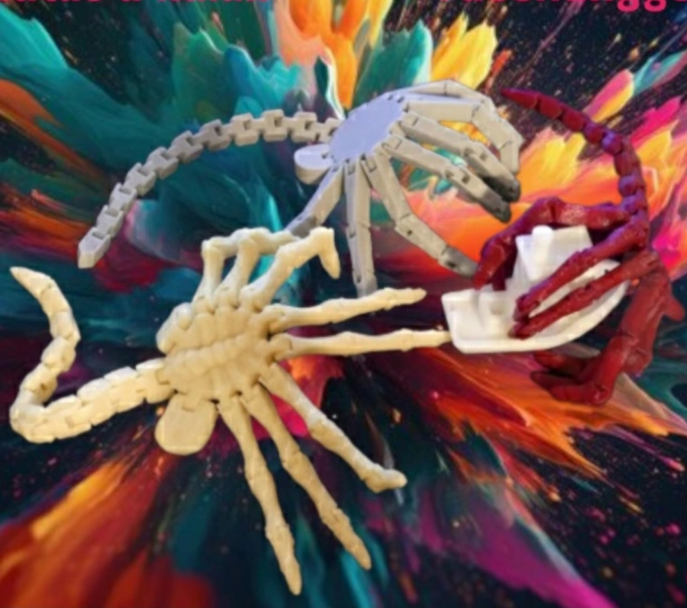 3D Nyomtatott flexi játékok