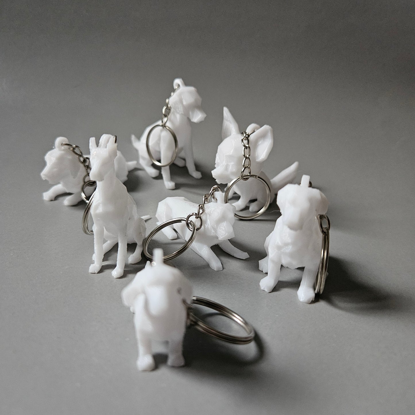 A Te házikedvenced. Bármelyik kutyafajta!